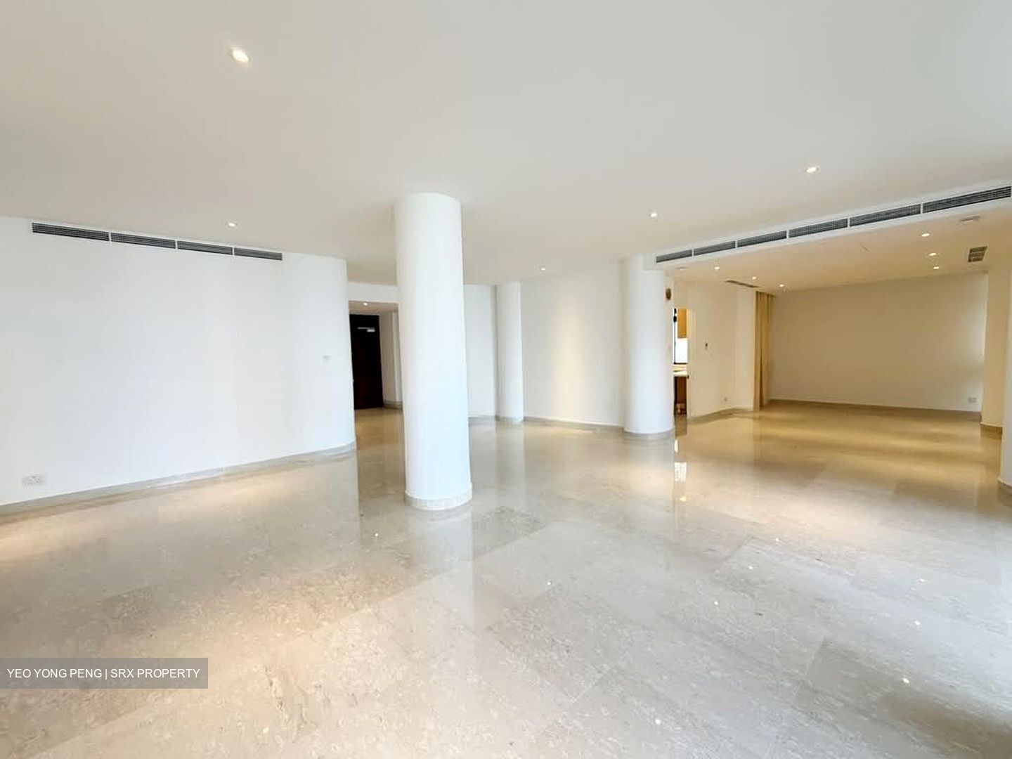 The Colonnade (D10), Condominium #563474741